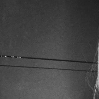 Profilbild von Thala-Wine